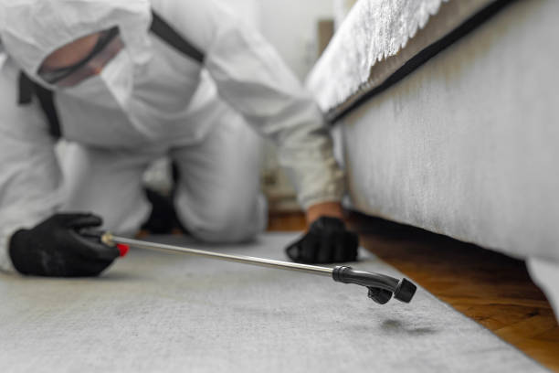 Professional Bed Bug Control technician working in Wayne County County, IN